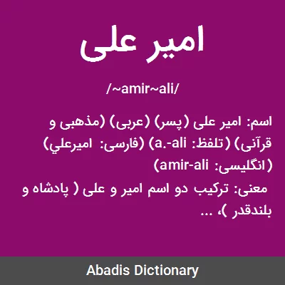 معنی امیر علی